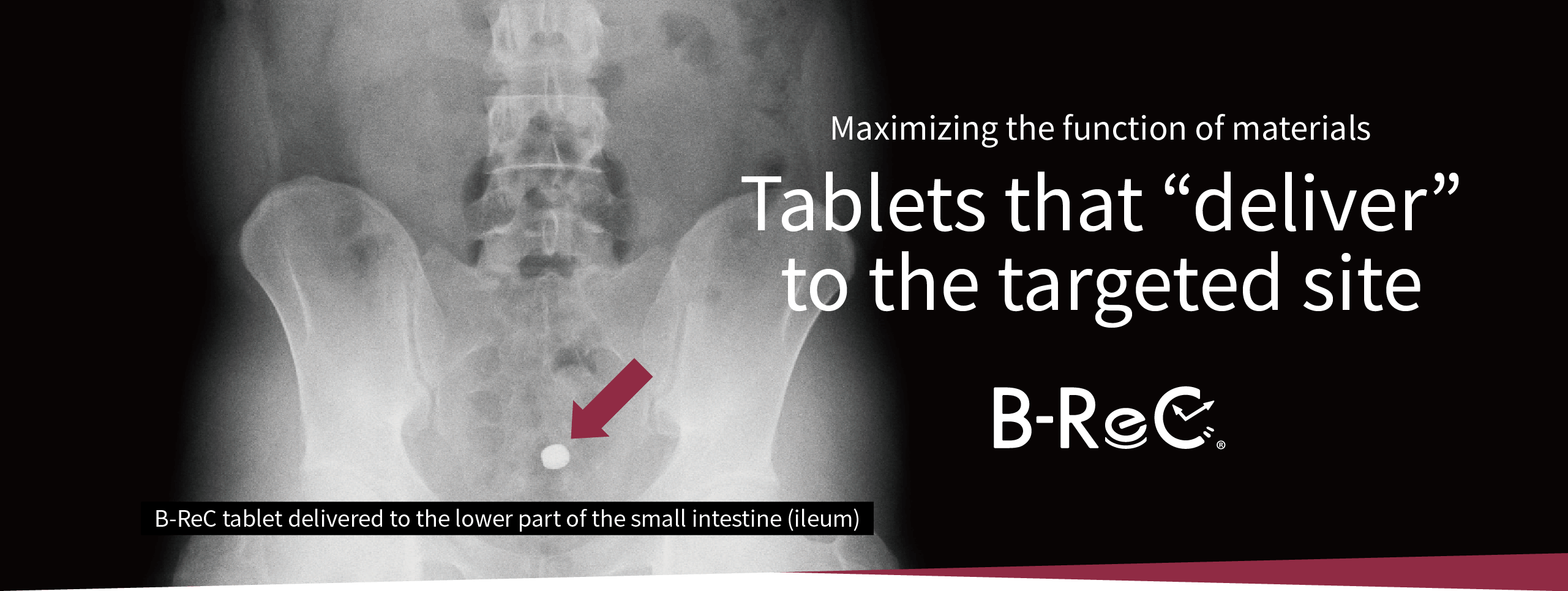 B-ReC tablet delivered to the lower part of the small intestine (ileum)/ Maximizing the function of materials Tablets that “deliver” to the targeted site B-ReC